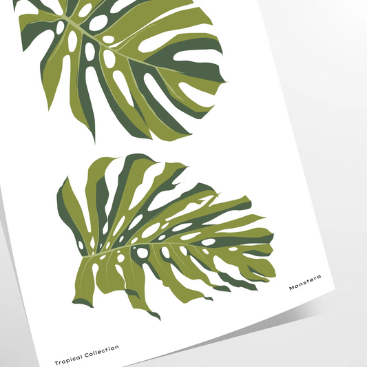 space vintage botanical poster elegant gray green hues stunning wall art perfect gift nature lovers chic addition room sizes A4 cm A0 decor timeless artwork today