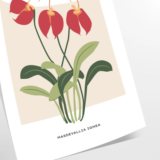 allure nature vintage botanical prints poster vibrant orange gray hues wall art thoughtful gift captivating artwork charm space sizes A4 cm A0