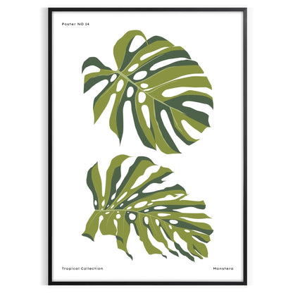 space vintage botanical poster elegant gray green hues stunning wall art perfect gift nature lovers chic addition room sizes A4 cm A0 decor timeless artwork today