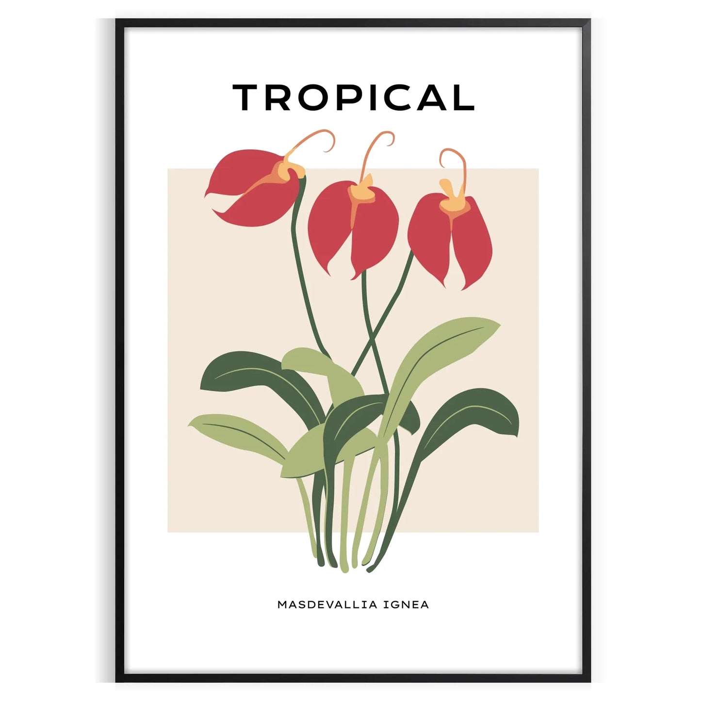 allure nature vintage botanical prints poster vibrant orange gray hues wall art thoughtful gift captivating artwork charm space sizes A4 cm A0