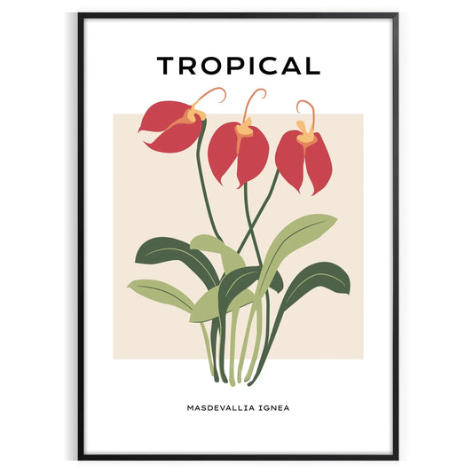 allure nature vintage botanical prints poster vibrant orange gray hues wall art thoughtful gift captivating artwork charm space sizes A4 cm A0