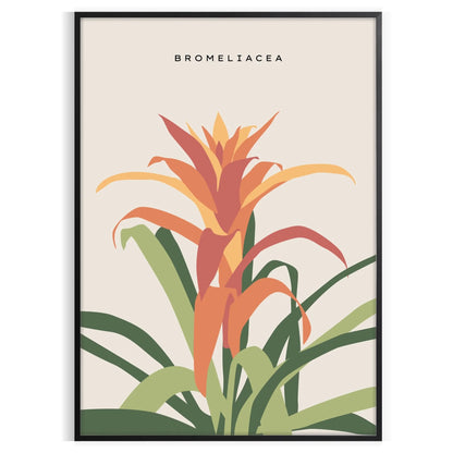Poster space captivating vintage botanical posters stunning orange gray hues wall art thoughtful gift timeless prints nature elegance sizes A4 inches A0