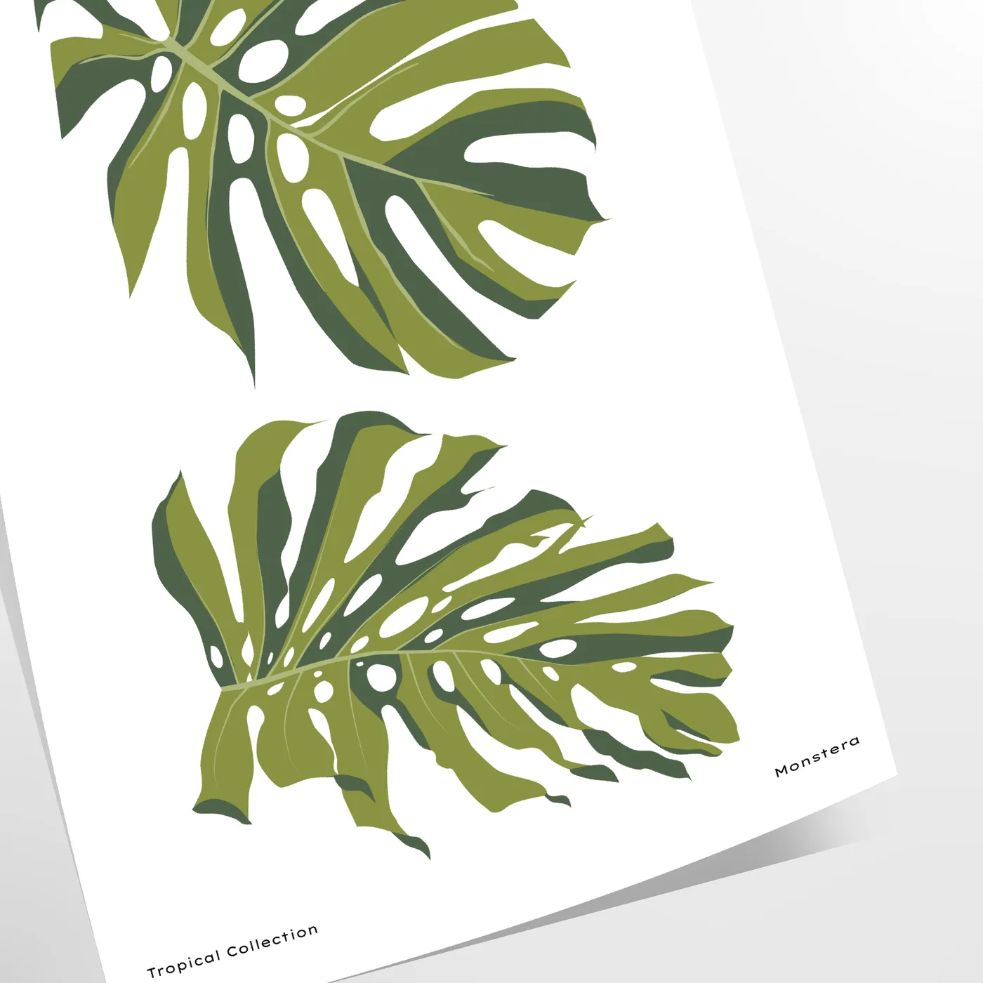space vintage botanical poster elegant gray green hues stunning wall art perfect gift nature lovers chic addition room sizes A4 cm A0 decor timeless artwork today